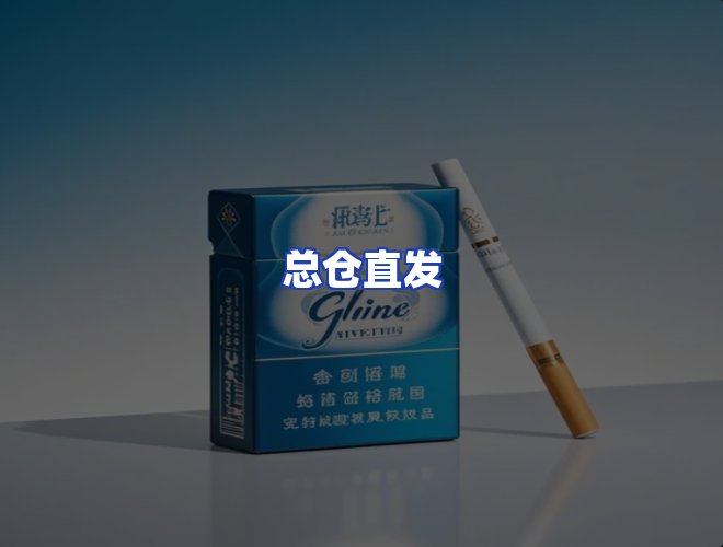 专业团队